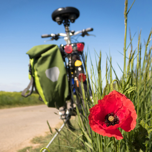 Personen mit Give-Five-Geste